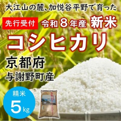 ãå
è¡åä»ã 什å8幎æ°ç±³ã倧æ±å±±ã®éºã京éœåºäžè¬éçºã§è²ã£ãäž¹åŸç£ã³ã·ãã«ãªã粟米5kgãæ°ééå®ã1725895ã