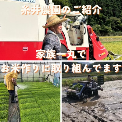 【毎月定期便】京都府与謝野町産 丹後コシヒカリ 精米2kg　もちもちとした食感が特徴のお米全6回【4086604】