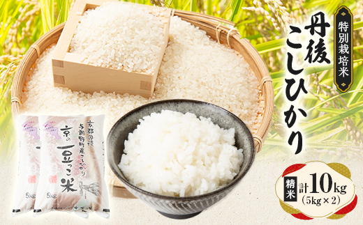 【令和7年産米】京都府与謝野町産 丹後コシヒカリ 精米10kg　特別栽培米 京の豆っこ米【1713762】
