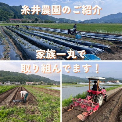 【熟成干し芋】京都府与謝野町産 紅はるか 農家こだわり京の干し芋 200g×3袋 糸井農園【配送不可地域：離島】【1699408】