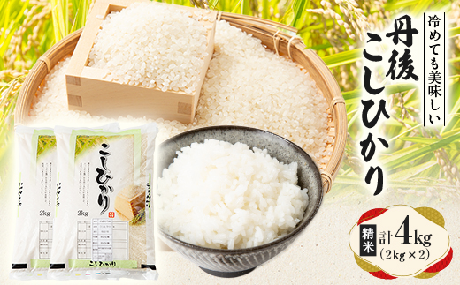 【令和7年産米】京都府与謝野町産 丹後コシヒカリ 精米4kg　もちもちとした食感が特徴のおいしいお米【1686747】