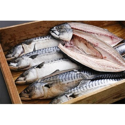 橋立やまいち自慢　旨みたっぷりふっくら塩サバ(大)×2本【配送不可地域：離島・北海道・沖縄県】【1583692】