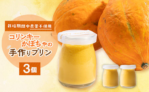 栽培期間中、農薬を使わず自家栽培した「コリンキーかぼちゃ」使用の手作りプリン　3個【配送不可地域：離島】【1670917】