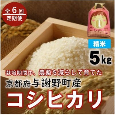 【毎月定期便】京都丹後産コシヒカリ 精米5kg 栽培期間中農薬を減らして育てたお米 農家直送全6回【4086467】