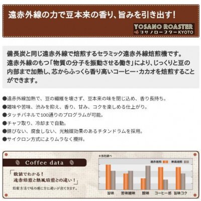 【毎月定期便】コーヒー豆　グァテマラ ウエウエテナンゴファンシー　200g×2　遠赤外線焙煎全6回【配送不可地域：離島】【4063192】