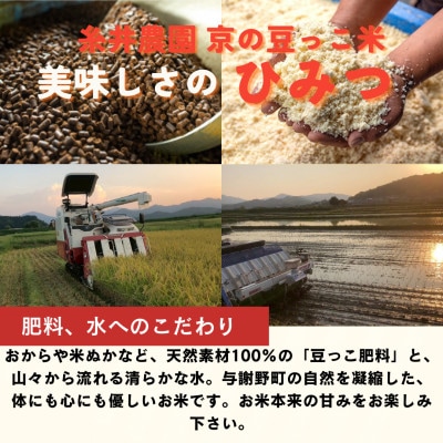 ãå
è¡åä»ã什å8幎ç£ç±³ 京éœåºäžè¬éçºç£ äž¹åŸã³ã·ãã«ãª 粟米20kgãç¹å¥æ œå¹ç±³ 京ã®è±ã£ãç±³ã1737459ã