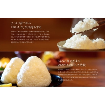 什å7å¹Žç£æ°ç±³ã京éœåºäžè¬éçºç£ã³ã·ãã«ãªã京ã®è±ã£ãç±³ã粟米10kgãå±±å£èŸ²åãã ããã®ç¹å¥æ œå¹ç±³ã1696449ã