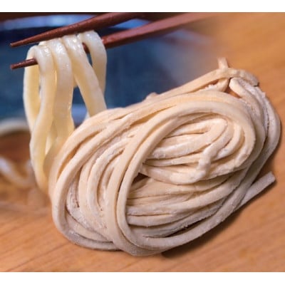 へじや製麺のうどん生麺10食セット 太麺タイプ　つけ用特製だしつゆ付【配送不可地域：離島】【1637092】