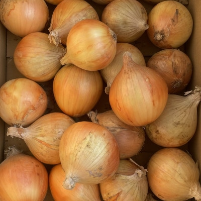 ãæééå®ã çãã çŽ5kgã京éœäžè¬éçºã®ãã ããæ œå¹ããŸããããAGRISTãã1754648ã