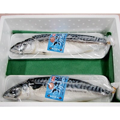 橋立やまいち自慢　旨みたっぷりふっくら塩サバ(大)×2本【配送不可地域：離島・北海道・沖縄県】【1583692】