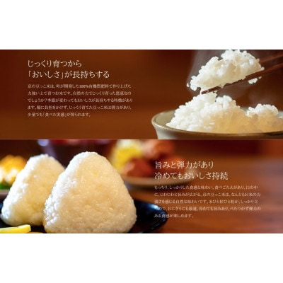 令和7年米　京都与謝野町産コシヒカリ「京の豆っこ米」玄米10kg×1袋　【誠武農園】 農家直送【1724424】