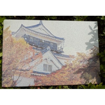 御城印帳(岡崎城)【1665405】