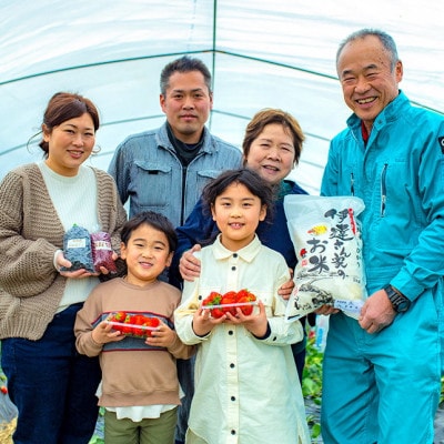 令和7年産米「京の豆っこ米」低農薬コシヒカリ　精米10kg 農家直送　京都与謝野町【伊達農園】【1711767】