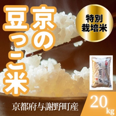 【令和7年産米】京都府与謝野町産 丹後コシヒカリ 精米20kg　特別栽培米 京の豆っこ米【1713764】
