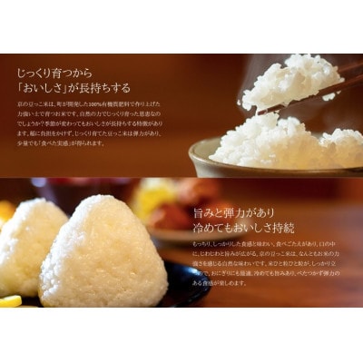 令和7年米　京都与謝野町産コシヒカリ「京の豆っこ米」玄米10kg×2袋　【誠武農園】 農家直送【1724220】