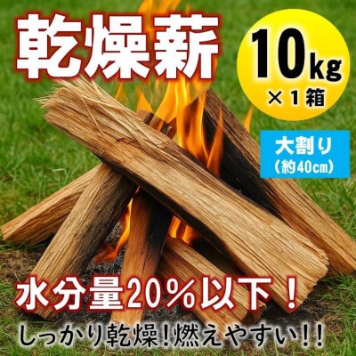 【毎月定期便】乾燥薪 キャンプ用 10kg 大割(約40cm) 広葉樹ミックス全3回【4087752】
