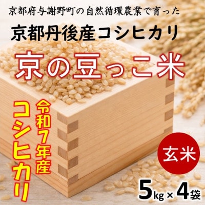 令和7年 京都府産「京の豆っこ米」 玄米20kg(5kg×4袋)　おいしい丹後のコシヒカリ　農家直送【1744699】