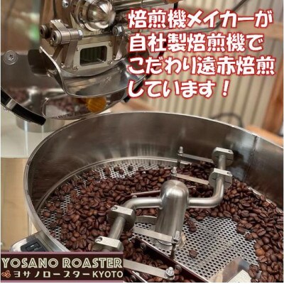 【毎月定期便】コーヒー豆　グァテマラ ウエウエテナンゴファンシー　200g×2　遠赤外線焙煎全6回【配送不可地域：離島】【4063192】
