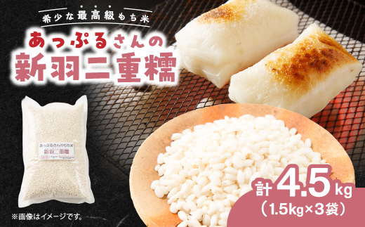 【京都府固有種・希少もち米】 新羽二重糯1.5kg×3袋　冷めてもやわらかい最高級のもち米　農家直送【1713952】
