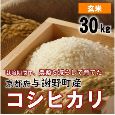 令和7年産米　京都丹後産コシヒカリ　玄米30kg　栽培期間中、農薬を減らして育てたお米【1682145】