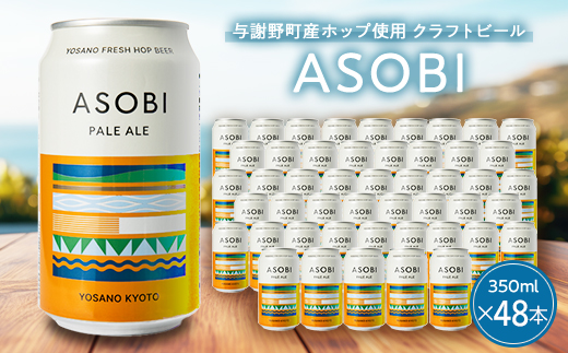 【与謝野町産ホップ使用クラフトビール】 ASOBI(アソビ)　350ml×48本　ペールエール【1670391】
