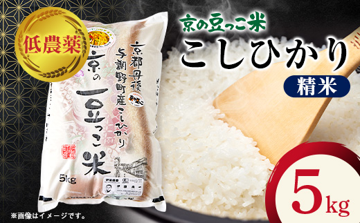 令和7年産米「京の豆っこ米」精米5kg　低農薬コシヒカリ　京都与謝野町　【伊達農園】【1636551】