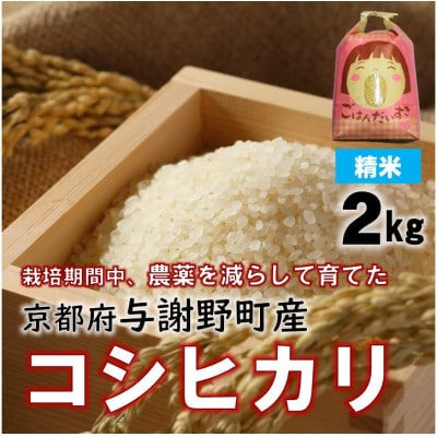 令和7年産米　京都丹後産コシヒカリ　精米2kg　栽培期間中、農薬を減らして育てたお米　農家直送【1658843】