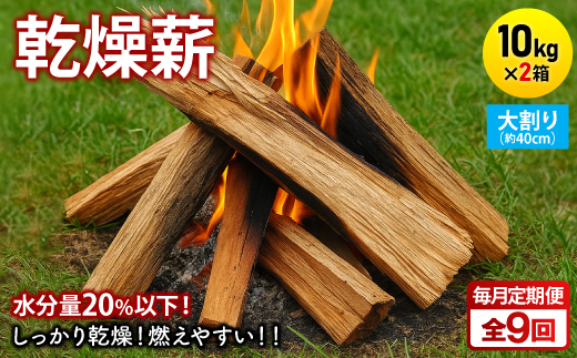 縲先ッ取怦螳壽悄萓ソ縲台ケセ辯・阮ェ 繧ュ繝」繝ウ繝礼畑 10kgテ2邂ア 螟ァ蜑イ(邏40cm) 蠎闡画ィケ繝溘ャ繧ッ繧ケ蜈ィ9蝗槭4087742縲