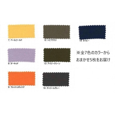 ãèš³ããã äž¹åŸã¡ãããæ¥è§Šå·æãã¹ã¯ãã«ã©ãŒããŸããã5æã»ãã Lãµã€ãº(ç·æ§åã)ã1108591ã