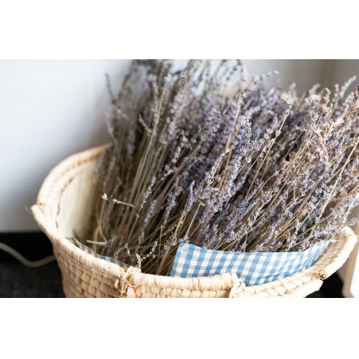 【橋立ベイホテル】ペア宿泊券　1泊素泊り　デラックスツイン34平米【1476099】