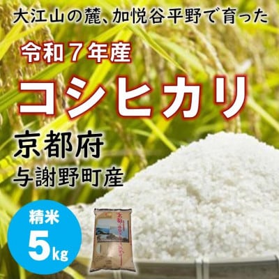 令和7年産米　大江山の麓、京都府与謝野町で育った丹後産コシヒカリ　精米5kg　おいしいお米を農家直送【1632450】