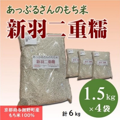 【京都府固有種・希少もち米】 新羽二重糯1.5kg×4袋 　冷めてもやわらかい、最高級のもち米【1713955】