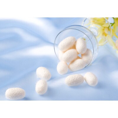 é«çŽåºŠã·ã«ã¯ã¢ããé
žå¥åº·è£å©é£åã·ã«ã¯ããããé¡ç²ã¹ãã£ãã¯30æ¬ã»ãããããã©å³ãã1005273ã