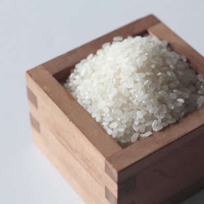 CRAFT CHOCOLATE RICE GRAINSãäž¹åŸç±³ãã§ã³ã¬ãŒãã·ãªã¢ã« 2å äžè¬éçºãé
éäžå¯å°åïŒé¢å³¶ãã1697958ã