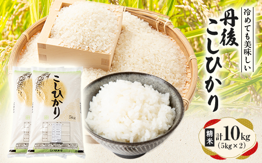 【令和7年産米】京都府与謝野町産 丹後コシヒカリ 精米10kg　もちもち食感が特徴のおいしいお米【1686752】