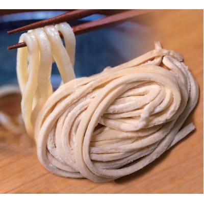 へじや製麺のうどん生麺10食セット 細麺タイプ　ぶっかけ(温)用特製だしつゆ付【配送不可地域：離島】【1637098】