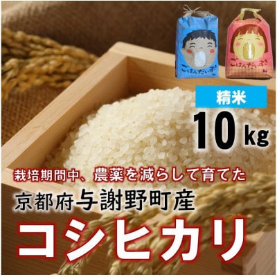 京都丹後産コシヒカリ 精米10kg 栽培期間中、農薬を減らして育てたお米　農家直送【1737556】