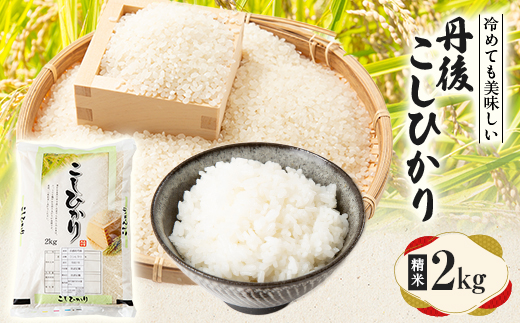 【令和7年産米】京都府与謝野町産 丹後コシヒカリ 精米2kg　もちもちとした食感が特徴のおいしいお米【1686611】