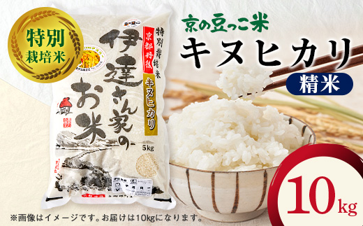令和7年産米　特別栽培キヌヒカリ「京の豆っこ米」精米10kg　京都与謝野町　【伊達農園】　数量限定【1684179】