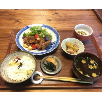 森の美しさを守る 天橋立阿蘇海にそそぐ水を辿る『与謝野森ツアー』森の恵みジビエランチ付き!【1573092】