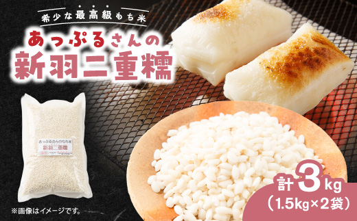 【京都府固有種・希少もち米】 新羽二重糯1.5kg×2袋　冷めてもやわらかい最高級もち米　農家直送【1713950】