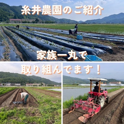 縲千滓仙ケイ縺苓葛縲台コャ驛ス蠎應ク手ャ晞守伴逕」 邏縺ッ繧九° 霎イ螳カ縺薙□繧上j莠ャ縺ョ蟷イ縺苓葛 200gテ5陲 邉ク莠戊セイ蝨偵宣埼∽ク榊庄蝨ー蝓滂シ夐屬蟲カ縲代1699413縲