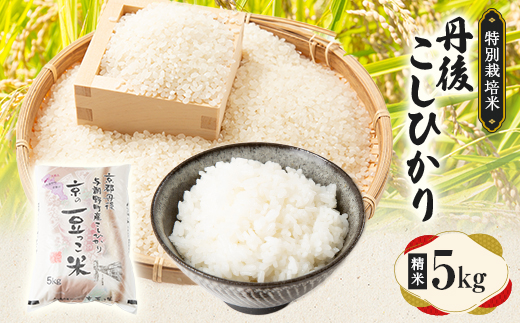 【令和7年産米】京都府与謝野町産 丹後コシヒカリ 精米5kg　特別栽培米 京の豆っこ米【1713757】