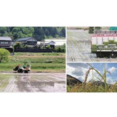 【先行受付】令和8年新米　数量限定　京都与謝野町産コシヒカリ「京の豆っこ米」玄米10kg×2袋【1724715】