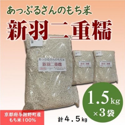【京都府固有種・希少もち米】 新羽二重糯1.5kg×3袋　冷めてもやわらかい最高級のもち米　農家直送【1713952】