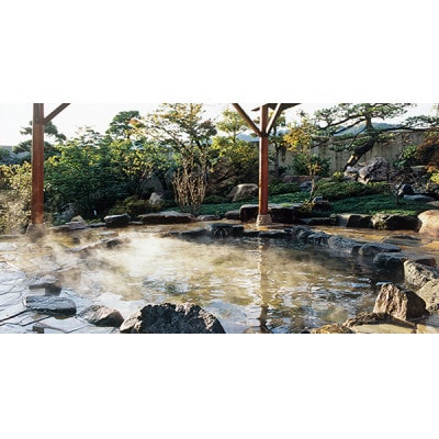 倩æ©ç«ã»å²©æ»æž©æ³ ããã«å楜家(æ°é€š)ãå¬ã®å³èŠ!æŸèã¬ãã¥ãããã©ã³å®¿æ³ãã¢åž(1æ³2é£ä»ã)ã1693324ã