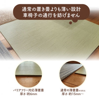 薄置畳2枚 バリアフリー対応(厚さ6mm)【彩園01 新銀白色】フロアタイルとして使用できる置き畳【1557555】