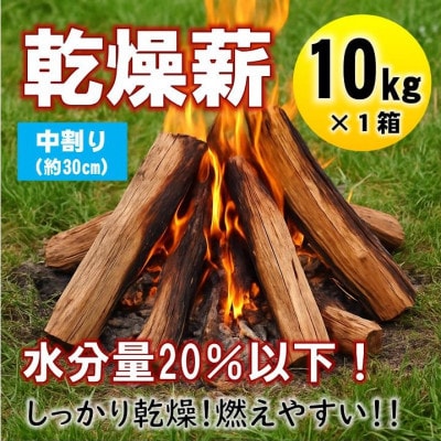 【毎月定期便】乾燥薪 キャンプ用 10kg 中割(約30cm) 広葉樹ミックス全12回【4087722】