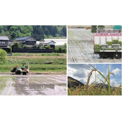 【先行受付】令和8年新米　数量限定　京都与謝野町産コシヒカリ「京の豆っこ米」精米5kg　農家直送【1724578】