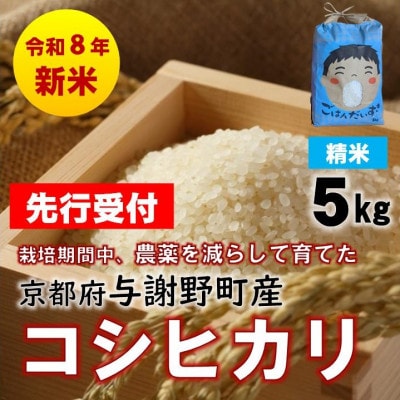 【先行受付】令和8年新米　京都丹後産コシヒカリ　精米5kg　栽培期間中、農薬を減らして育てたお米【1717389】